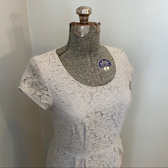 The Limited Size 6 lace grey dress - Picture 4 of 5